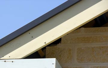 Brundish fascia repairs
