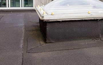 disadvantages of Brundish flat roofs